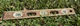 Vintage Stanley 2&prime; Brass bound Mason&rsquo;s Level 42-321 - Double Plumb