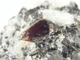 770 Carat Zircon crystal mineral specimen in matrix mother rock healer 53293