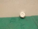 Knob from a RYOBI ELL1750 Multi Surface Laser Level