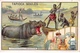 Chromos - COR10198 - Tapioca Soul&egrave;s - The Great Hunts: The Hippopotamus -