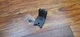 DEWALT BRACKET KIT FOR DW08302 DW08302CG 3 Spot Laser Level 