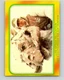 1980 OPC The Empire Strikes Back #326 Luke Astride His Tauntaun  V43256